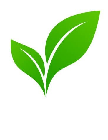 About us natural ingredients